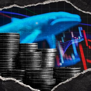12 Liquidations in 12 Hours: Crypto Bloodbath Among Crypto Whales