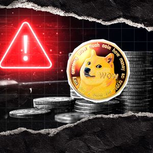 Nothing Can Officially Represent Dogecoin, Developer Tells Community