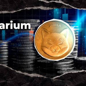 Shiba Inu’s Shibarium Crosses Major Onchain Milestone to Hit 14 Million Blocks, What Next?