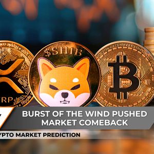 Crypto Market Prediction: Enormous XRP Price Comeback, Shiba Inu (SHIB) Burns Nosedive to Zero, What if Bitcoin Hits $111,700: Something to Happen?