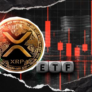 XRP Reserve Shrinks by 140,158,000, Who’s Buying?
