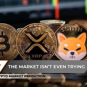 Crypto Market Prediction: Is Bitcoin (BTC) in Useless Uptrend? XRP's New Reality at $1, Shiba Inu (SHIB) Volumes Hit Zero