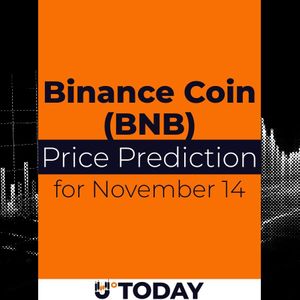 Binance Coin (BNB) Price Analysis  for November 14