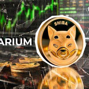 Shibarium Transactions Hits 14-Day High, SHIB Price Reacts