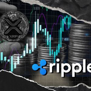Ripple Issues New Warning to XRP Holders to Stay Vigilant, What’s It About?