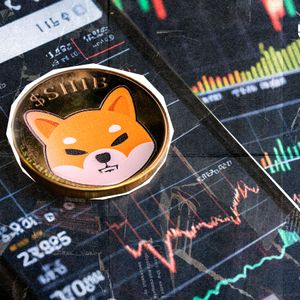 Shiba Inu Exchanges Losing SHIB: 207,000,000,000 in 24 Hours