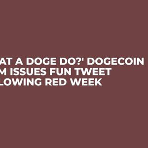 'What a DOGE Do?' Dogecoin Team Issues Fun Tweet Following Red Week