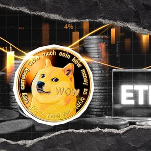 First Dogecoin ETF Predicted to Launch This November