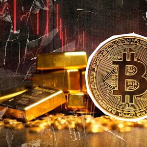 VanEck Chief Says Investors Should Hold Both Bitcoin and Gold for Portfolio Balance
