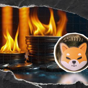 Shiba Inu Burn Rate Jumps 1090% With 17,290,166 SHIB Torched Amid Market Crash