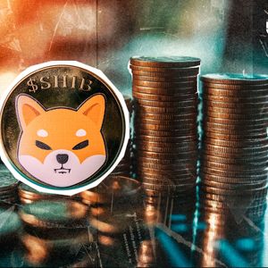 Shiba Inu (SHIB) Crash Finally Stops: Recovery Next?