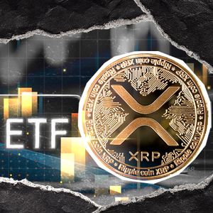 XRP Hits Top-5 Among All Assets on the Market: Social Volume Hits the Top