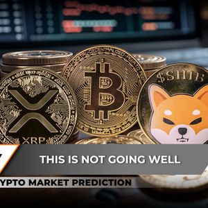 Crypto Market Prediction: XRP Lands on Trampoline, No, Bitcoin is Not Keeping $90,000, Is Shiba Inu (SHIB) Massive Spike Very Close?