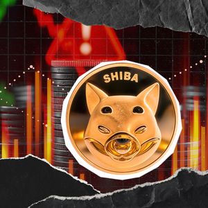 Shiba Inu Team Under Fire: SHIB Dev Shares Details of Targeted Attacks