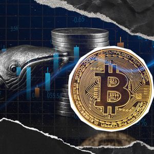 20,000 BTC Return to Exchanges In 7 Days, Are Whales Taking Profits?