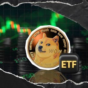 Dogecoin Liquidation Imbalance Rockets 165,815% Despite Volume Slip