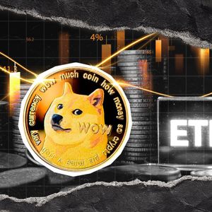 US Getting First Spot-Based Meme Coin ETF