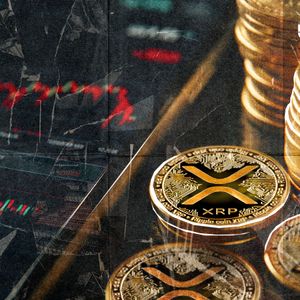 XRP Lost 50% in Fundamental On-Chain Metric: But Beware