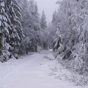 Will This Crypto Winter Be Different? Top Analyst Explains