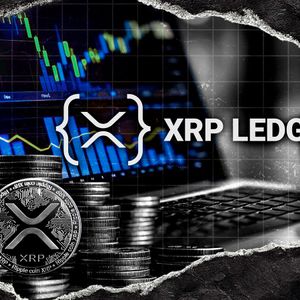 +200,000 XRP Payments: Fundamental 30% Network Spike Spotted on XRP Ledger
