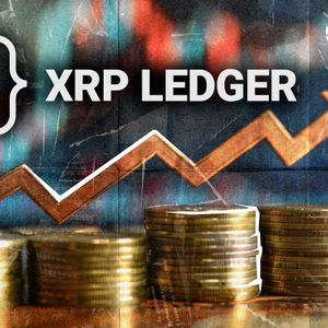 XRP Ledger Velocity Metric Hits Yearly High, Here's What Comes Next