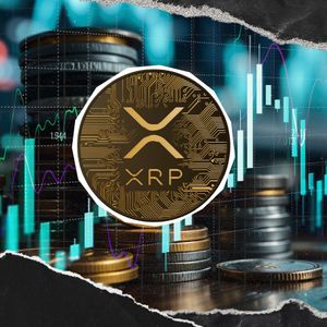 XRP Not Leaving 1,000,000,000 Club: Fundamental Growth Recorded