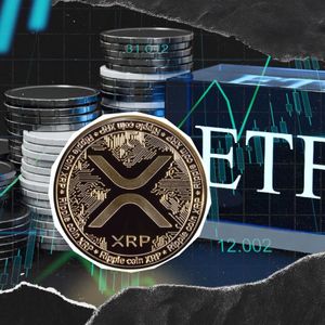 XRP Beats Bitcoin in Net ETF Flows