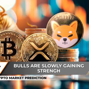 Crypto Market Prediction: No Bitcoin, $100,000 Next Time, Is Shiba Inu (SHIB) Wearing Bull Horns Again? This is When XRP Is Becoming Dominant