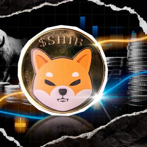 Shiba Inu Whale Activity Hits Highest Level Since June