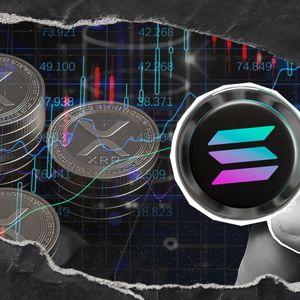 Solana’s New XRP Teaser Just Dropped, Ripple CTO Gets a Mention