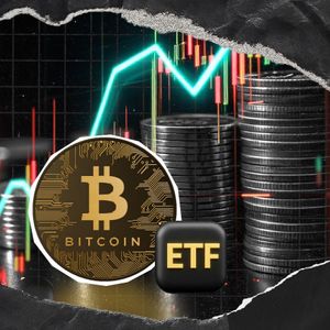 Bitcoin ETFs Hit Massive $223 Million in Daily Inflow