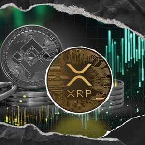 Is XRP Not Giving Up Top-4? 3 Reasons Why XRP Won't Get Beaten by Binance Coin