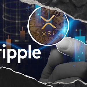 Ripple Executive Explains XRP Vision at Solana Event: Details