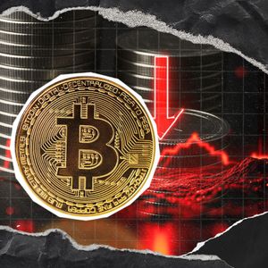 Արդյո՞ք Բիթքոին կոտորածը վաղն է: