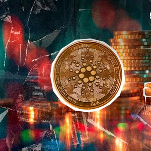 132,406,417 ADA Exit Exchanges in 24 Hours, Market Signal?