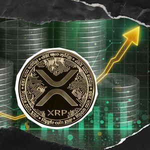 844,000,000 Million XRP in 24 Hours: Enormous Surge Brings Hope
