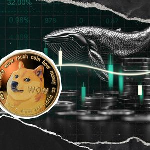 Dogecoin Whales Go Quiet, What’s Going On?