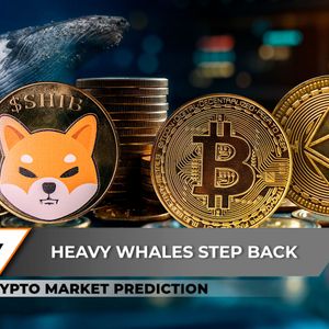 Crypto Market Prediction: Bitcoin (BTC) Price Explodes in Unexpected Volume Spike, Will Shiba Inu (SHIB) Crash Ever End? Ethereum (ETH) Already Sniffing $3,000