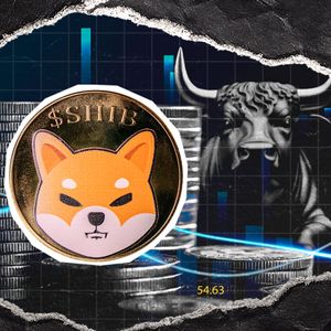 Shiba Inu (SHIB) Didn't Receive a Permission For Bullrun