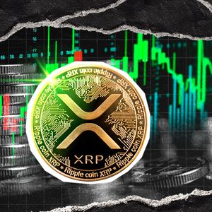 XRP Gets the Money: Weekly Inflows Jump 34% While U.S. Investors Pull Back