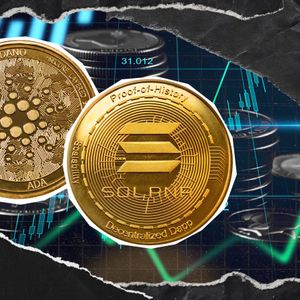 'Time to Get Cooking': Cardano and Solana Founders Tease Cross-Chain Bridge