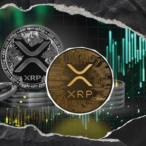 XRP is At the Best Level Since 2022: Indicator