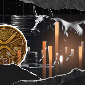 Everyone Is Bearish on XRP Right Now and That’s the Bullish Part