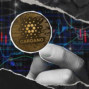 Key Functionality For Cardano and Midnight Introduced by Developers