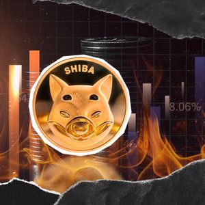 Shiba Inu Burn Rate Crashes Overnight as SHIB Price Reverses Gain