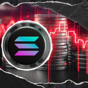 Solana Down 35% in 2025, but Yet Didnt Fail