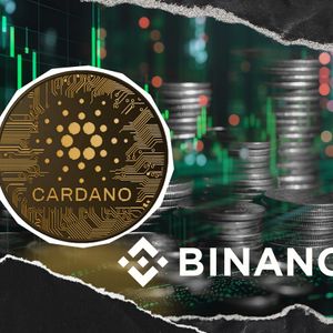 69% of All Binance Top Traders Are Long Cardano Amid $1.25 Billion Success of 'New ADA'