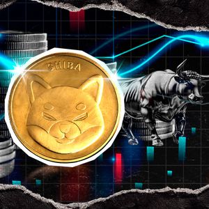 $0: Shiba Inu (SHIB) Bulls Suddenly Stop Losing Money on Meme Coin