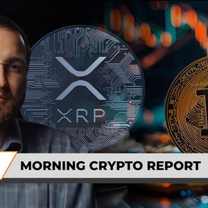 Morning Crypto Report: Legendary Trader Speaks Out on $24,111 Bitcoin Anomaly on Binance, Cardano’s Hoskinson Calls Out New Project and Brings Up XRP, Dogecoin ...