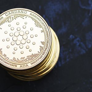 Cardano-Based Algorithmic Stablecoin Is “Pretty Close,” COTI Founder Says